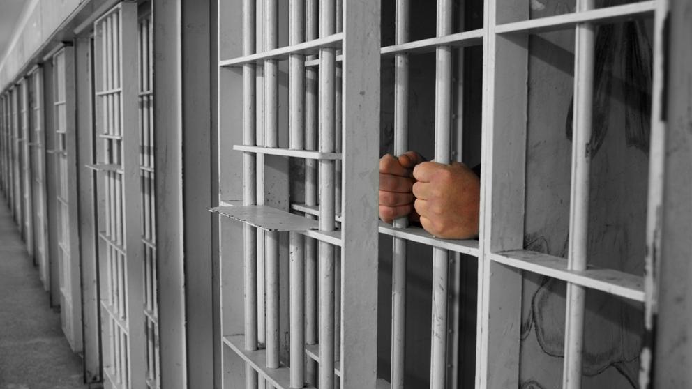 Nueve hombres apresados por pertenecer a banda de robos