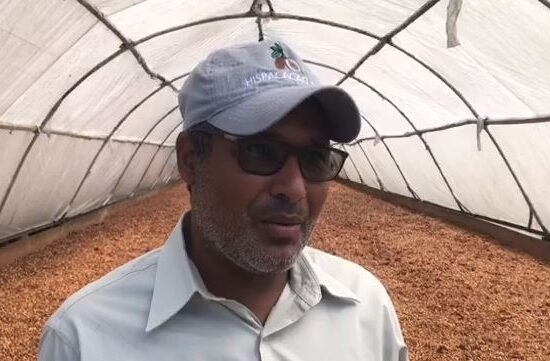 Productores de cacao solicitan visita del presidente a El Seibo