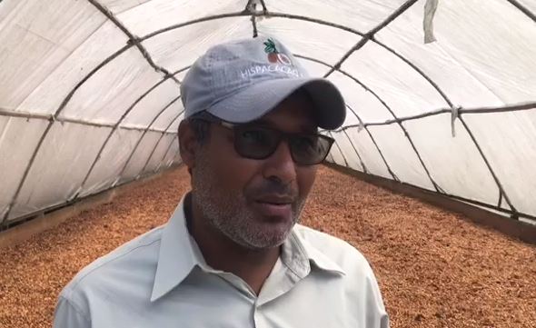 Productores de cacao solicitan visita del presidente a El Seibo