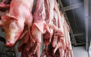 A pesar de fiebre porcina se mantiene la venta de carne de cerdo