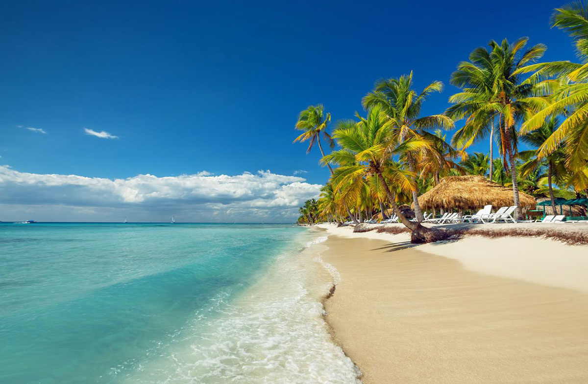 Luis Abinader destaca récord histórico de 11.7 millones de visitantes y consolida a República Dominicana como hub turístico del Caribe Luis Abinader destaca récord histórico de 11.7 millones de visitantes y consolida a República Dominicana como hub turístico del Caribe