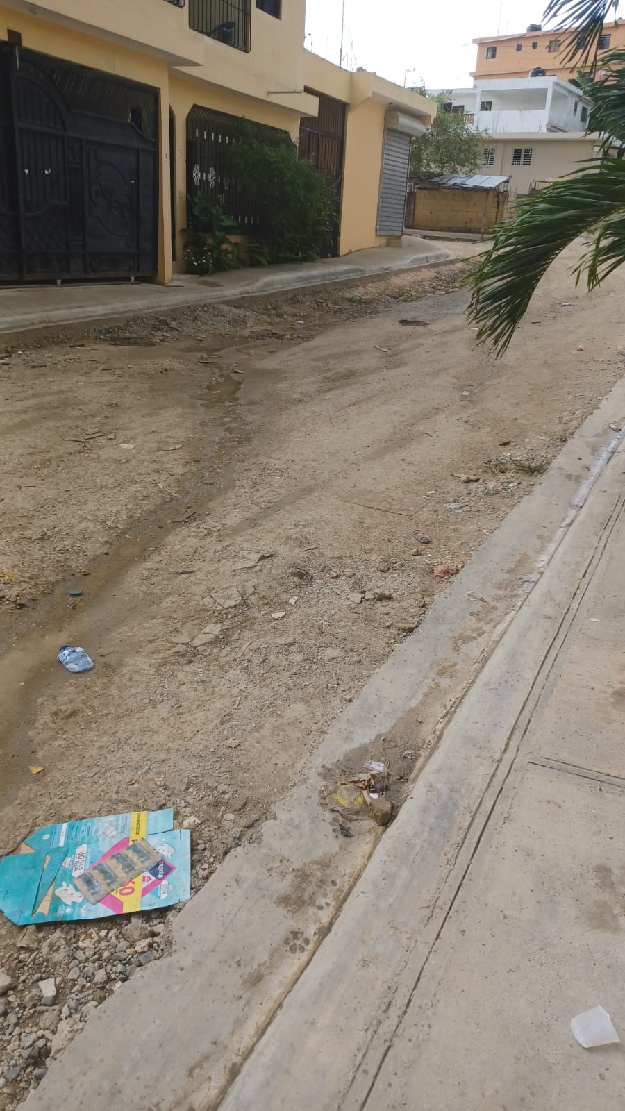 Residentes en proyecto Juan Bosch Los Guaricanos denuncian falta de asfaltado en sus calles