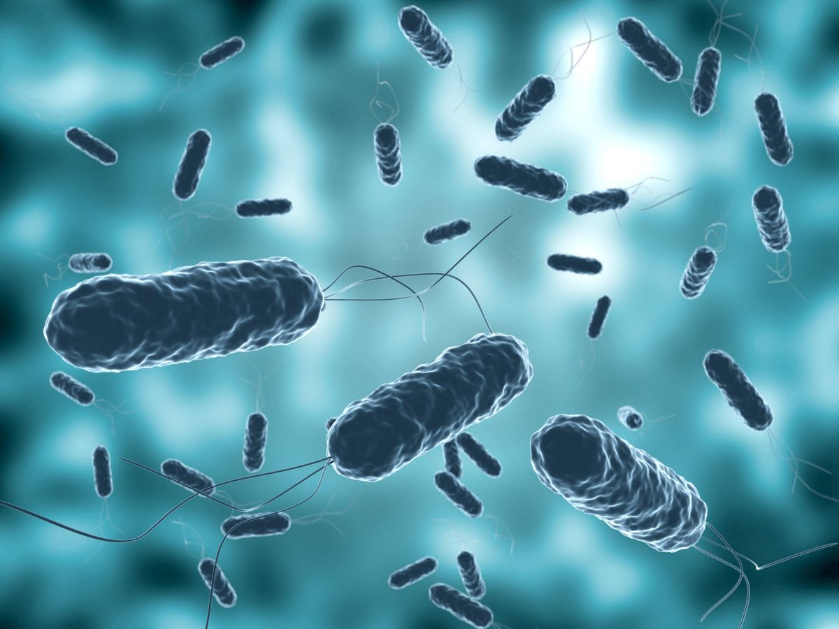 RD recibirá donación por OPS de 10.000 dosis de antibióticos para tratar cólera