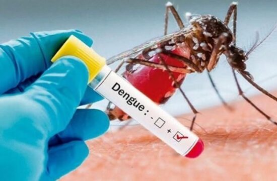 11 personas han muerto por dengue en lo que va de año