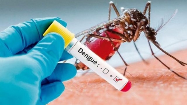 11 personas han muerto por dengue en lo que va de año