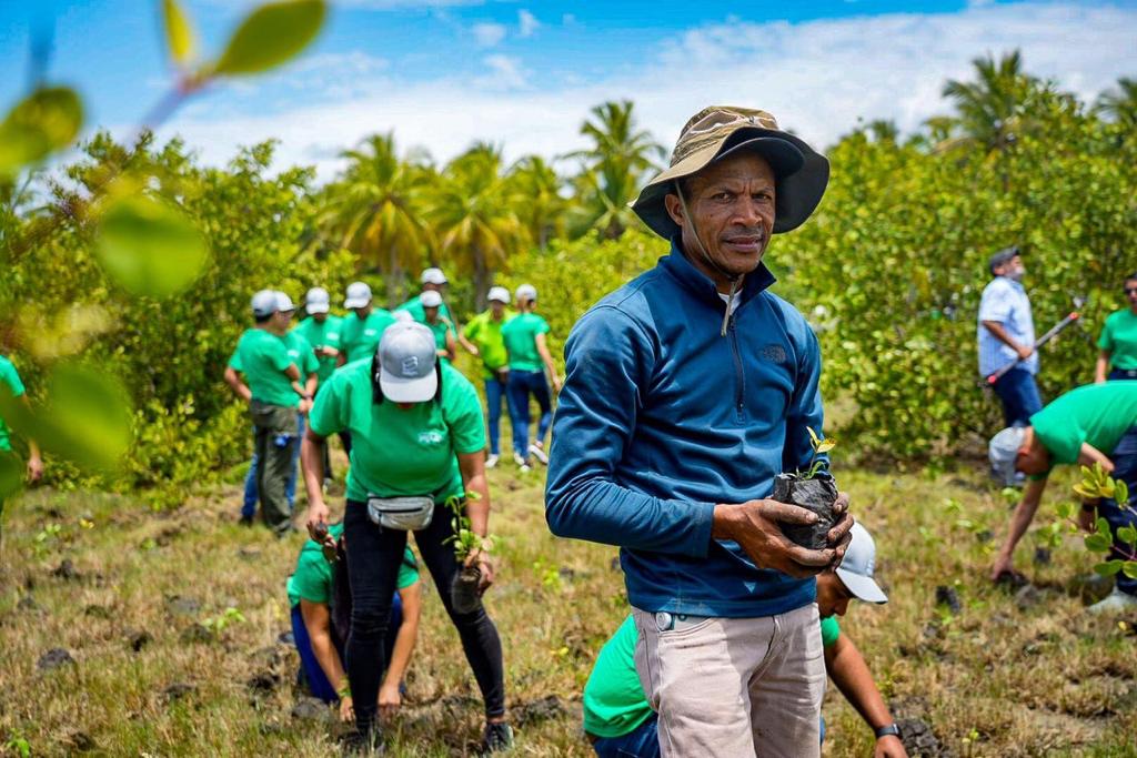 Medio Ambiente siembra más de 120 mil plantas en 2022, logrando cifra récord