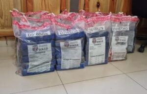 Interceptan un velero con 110 paquetes de cocaína en Santo Domingo Este