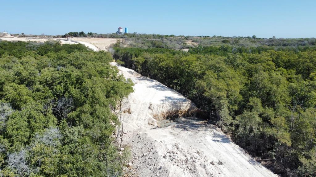 Detienen trabajos del muro fronterizo en área protegida