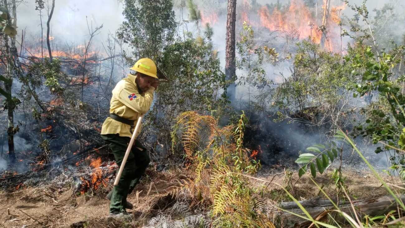 Medio Ambiente trabaja en reparar daños causados por incendios forestales