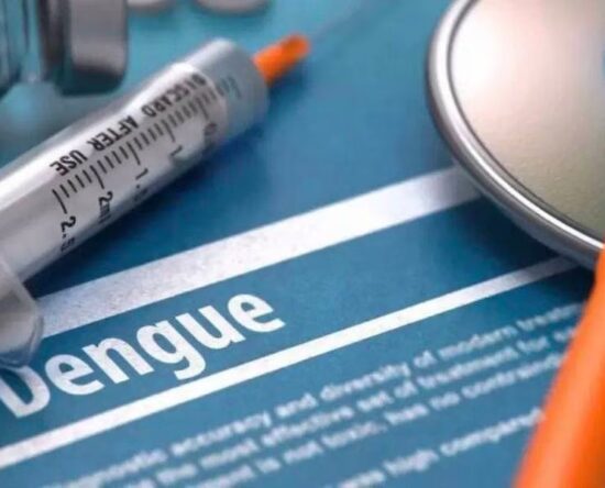 Se elevan a 13 las muertes por dengue tras dos nuevos fallecimientos