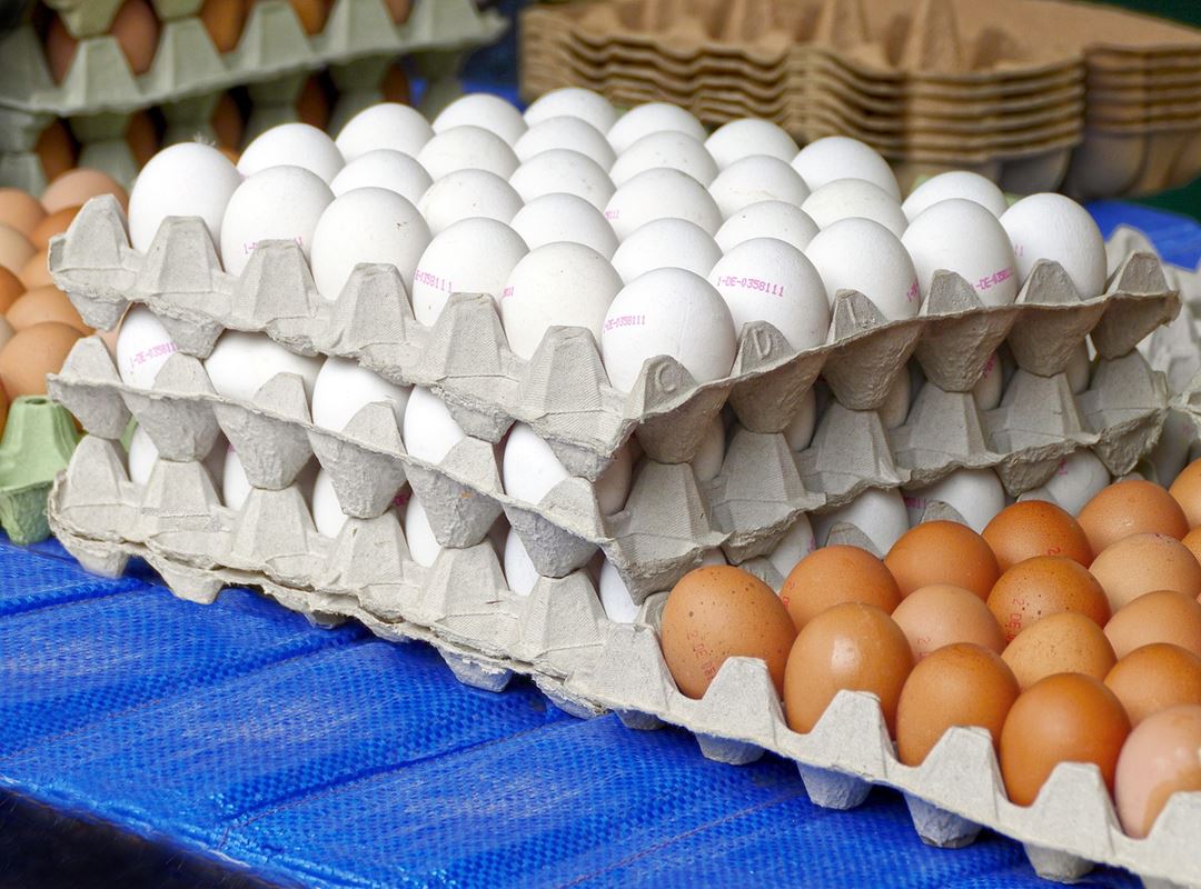 Supermercados venderán a RD$100 los cartones de huevos este jueves