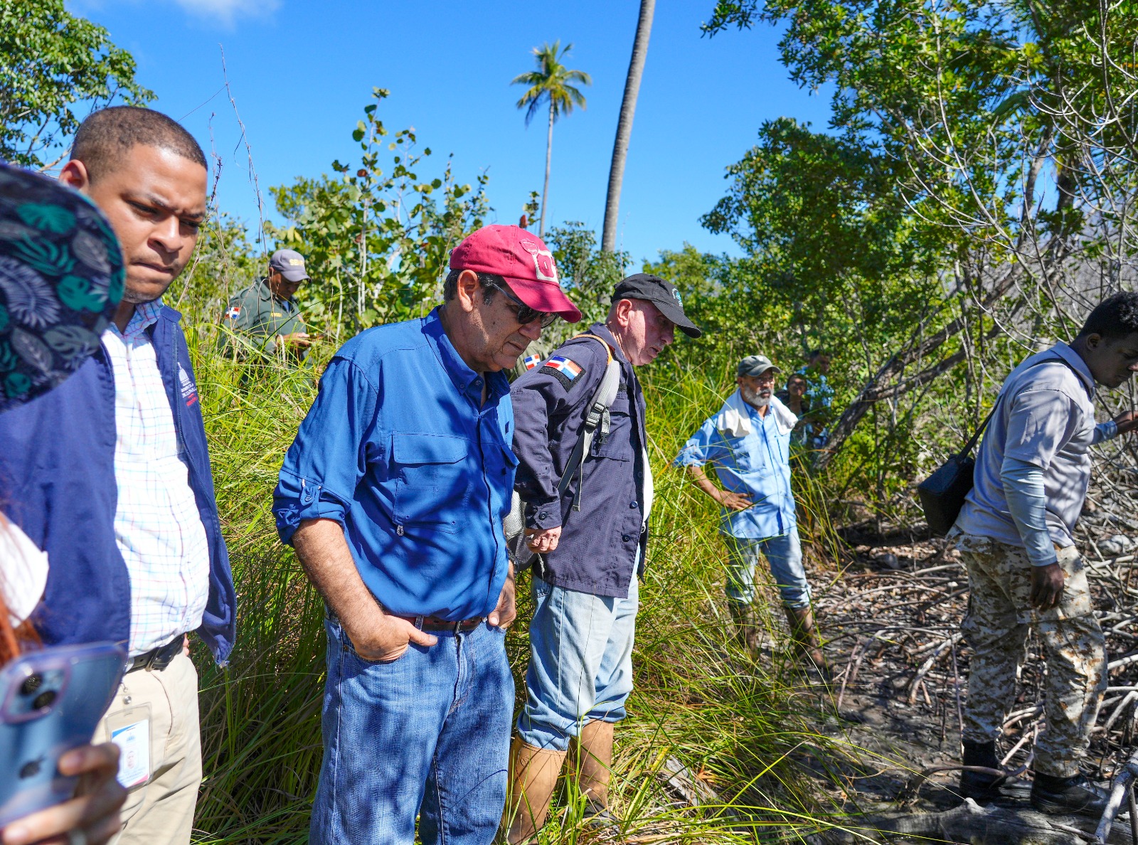 Piden declarar en estado de emergencia zona de manglar en Samaná