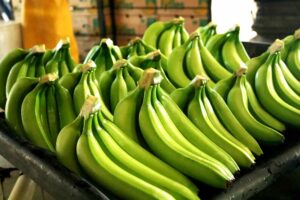 República Dominicana propone invertir 94 millones de dólares en su sector del banano