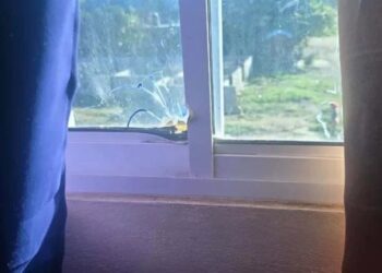 Desconocidos tirotean vivienda del alcalde de Navarrete; califica el hecho como "un acto cobarde"