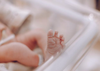 Pediatras e infectólogos mantienen vacuna de hepatitis B al nacer, pese a recomendación de EEUU