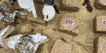 Ocupan 19 pacas de hachís en Miches