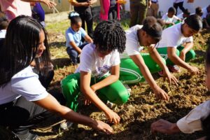 Educación reconocerá buenas prácticas en huertos escolares