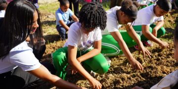 Educación reconocerá buenas prácticas en huertos escolares